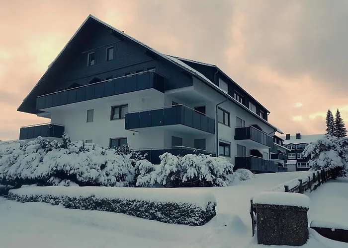 Cozy Freedom Snow Bike Hike Enjoy 200Mbit