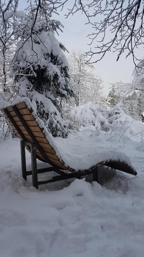Apartment Cozy Freedom Snow Bike Hike Enjoy 200mbit *