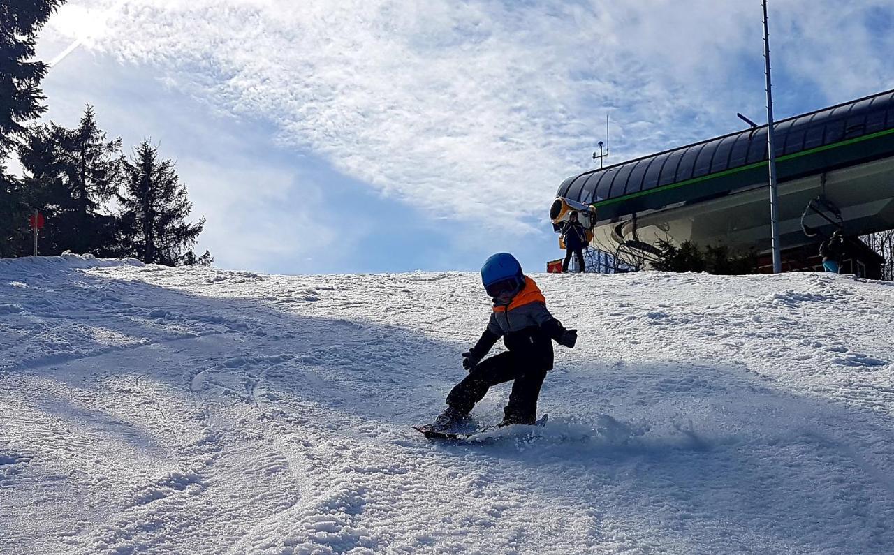 Apartment Cozy Freedom Snow Bike Hike Enjoy 200mbit