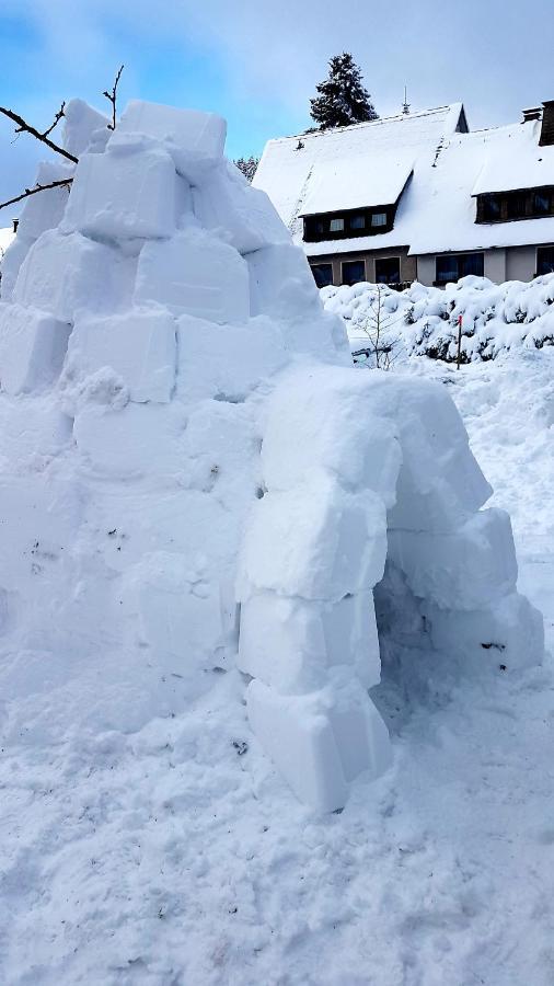 Cozy Freedom Snow Bike Hike Enjoy 200mbit Apartment Winterberg