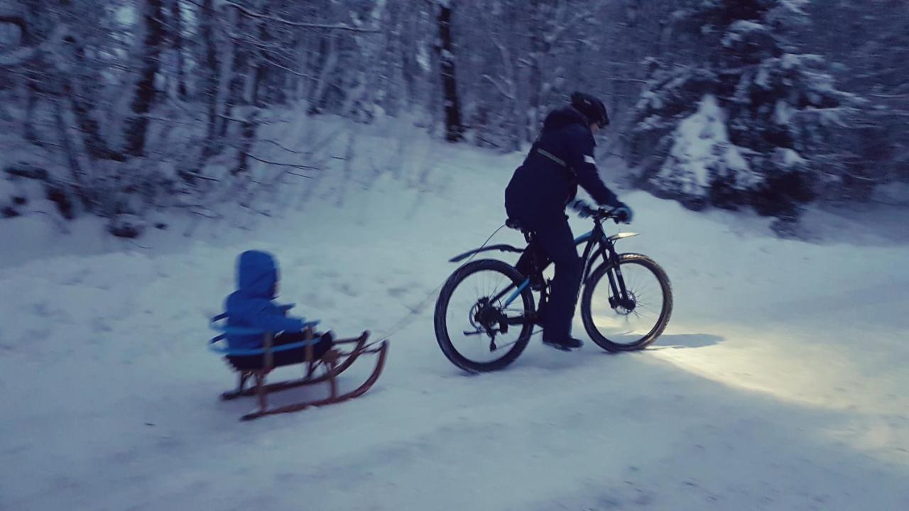 Cozy Freedom Snow Bike Hike Enjoy 200mbit Winterberg