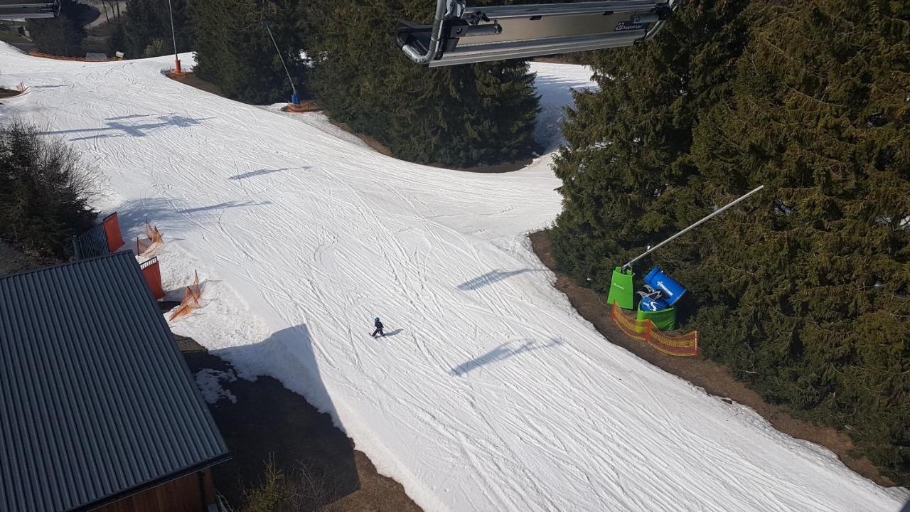 Apartment Cozy Freedom Snow Bike Hike Enjoy 200mbit